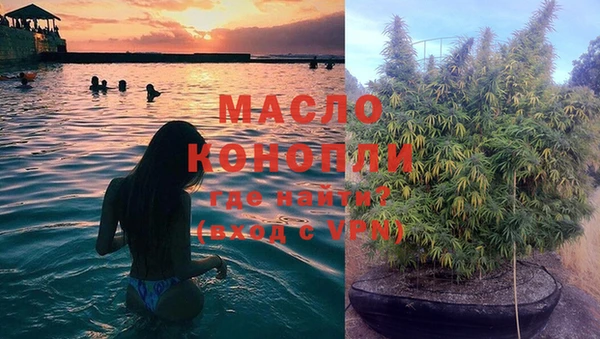 шишки Волоколамск