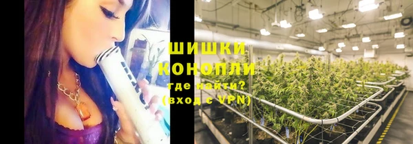 шишки Волоколамск