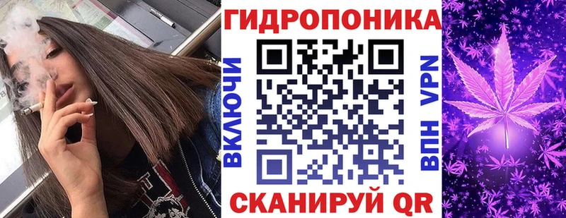 МАРИХУАНА планчик  купить наркотик  Волосово 